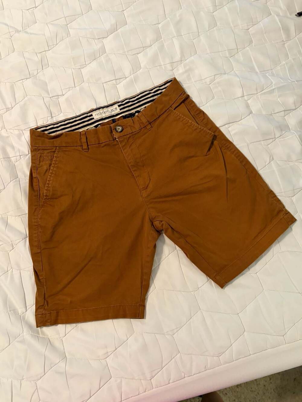 Cactus Man by Ricky Singh Men's Brown Chino Shorts Size 30